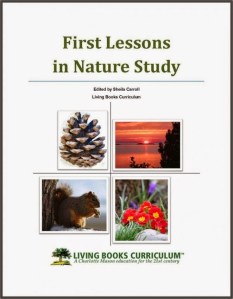 90e3df12f3d6b73b22e9846a8ad7c0ee