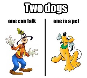 two-dogs-one-can-talk-one-is-a-pet_1373