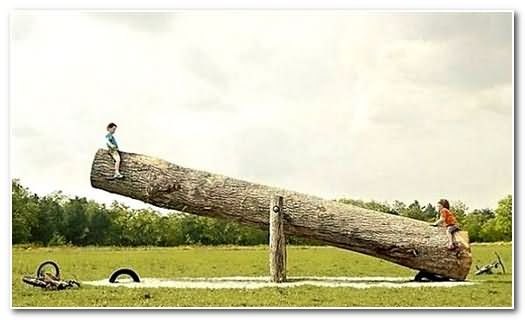 best-funny-pictures-16_1_f_improf_525x320