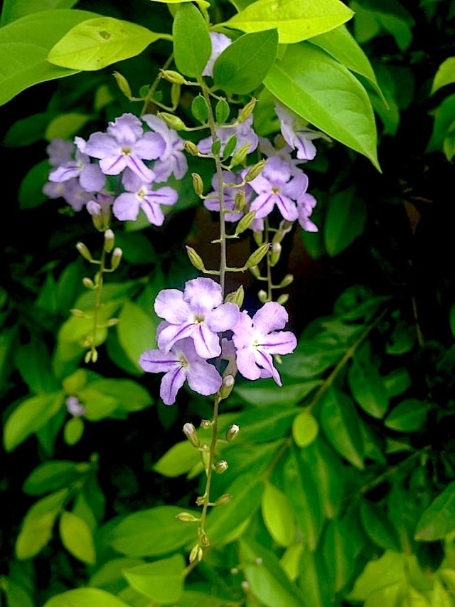 10501843_10102643824047244_7086409391296649891_n