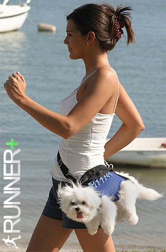 536768216_1382dffa14