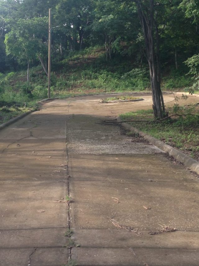 1902914_10102709260946174_8091010483180248567_n