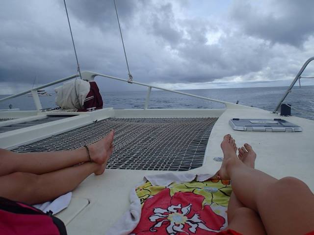 1959967_10205078896231328_9157343962537559978_n