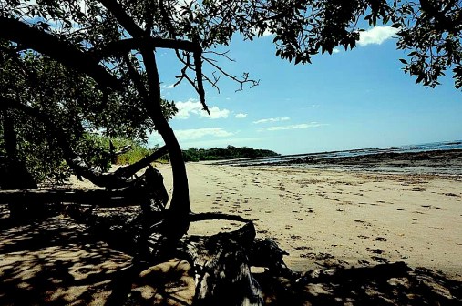 10347563_10102905939810154_5472885145951912028_n