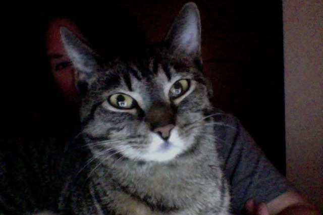 Photo on 1-21-15 at 10.58 PM #3