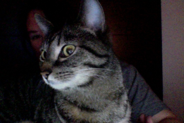 Photo on 1-21-15 at 10.58 PM #4