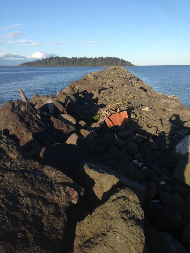 11112915_10206447434726709_5669147170010979647_n