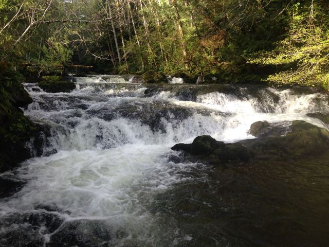 11150152_10206447434686708_2567572159140926930_n