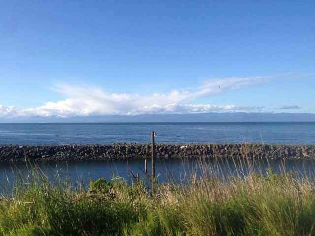 11178214_10206447434766710_4521132938709089326_n