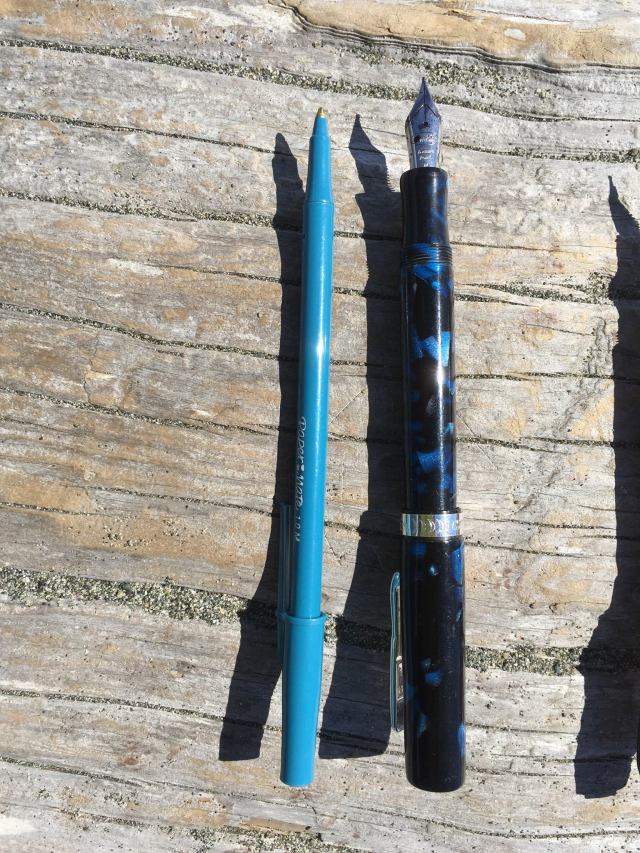 11717588_10207175976619801_790544593540687777_o-1